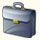 Corporate or Government Segment User License